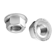 Hex Flange Nut