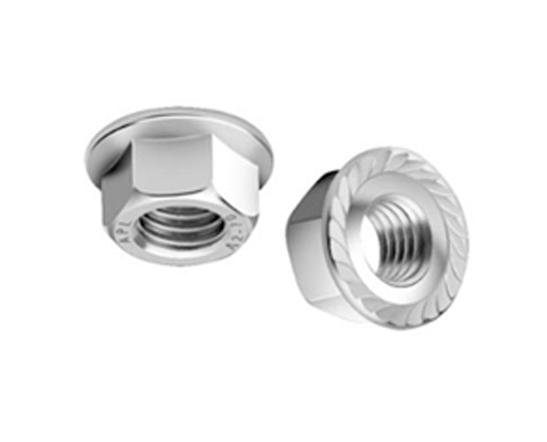 Hex Flange Nut